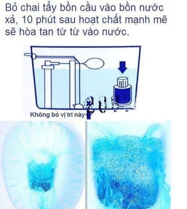 LỌ THẢ BỒN CẦU AAB