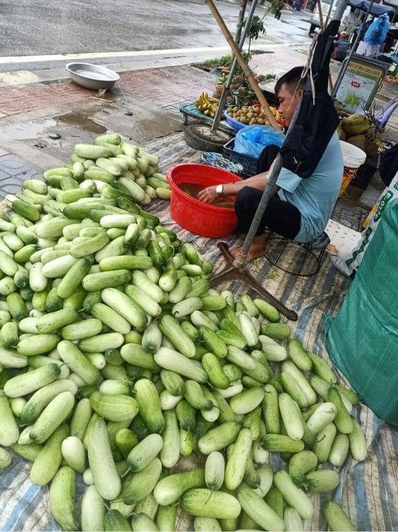 Dưa mèo Điện Biên 3kg