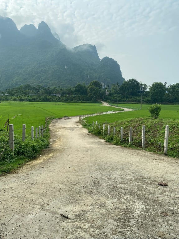 Lô góc hai mặt tiền siêu đẹp hơn 1000m2 có 700m2 thổ cư tại Kim Bôi, Hoà Bình