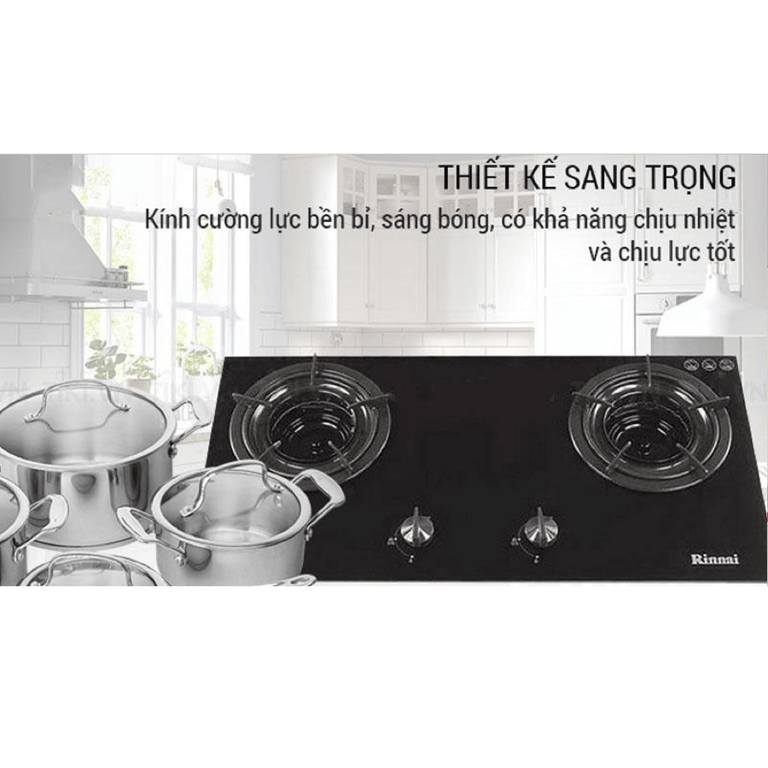 BẾP GAS ÂM RINNAI RVB-2I(AB)