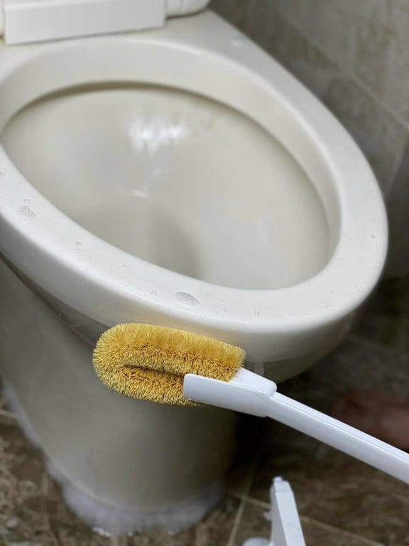 Chổi cọ toilet xơ dừa Towa Nhật Bản