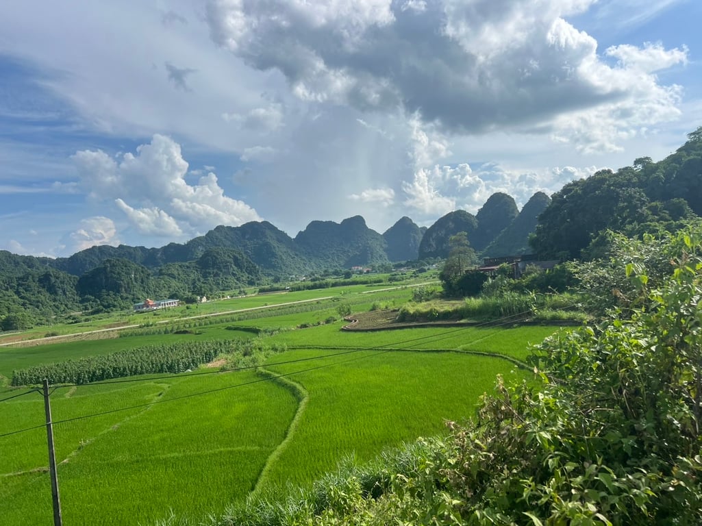 3830 m2 có 2000 m2 thổ cư tại Yên Thuỷ, Hoà Bình