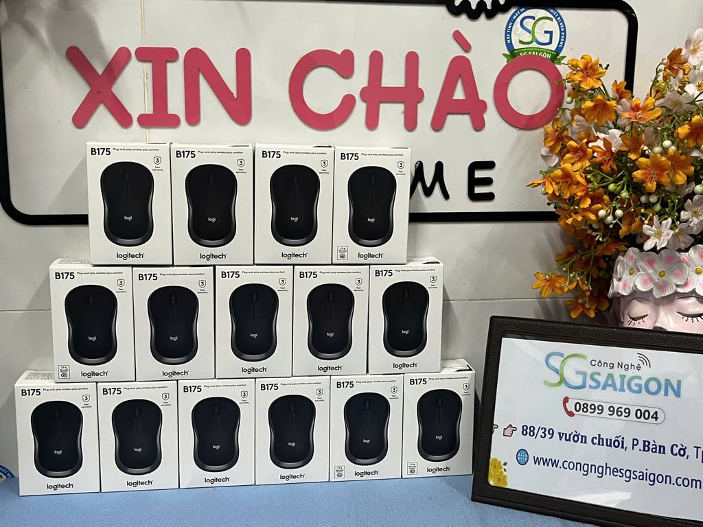Chuột Không Dây Logitech B175