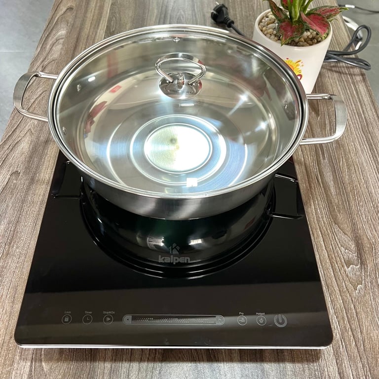 BẾP TỪ ĐƠN CAO CẤP KALPEN ICK-1613