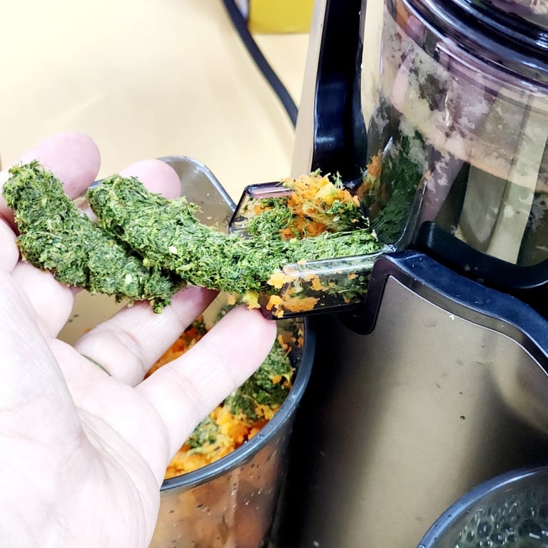 MÁY ÉP CHẬM KALPEN J5