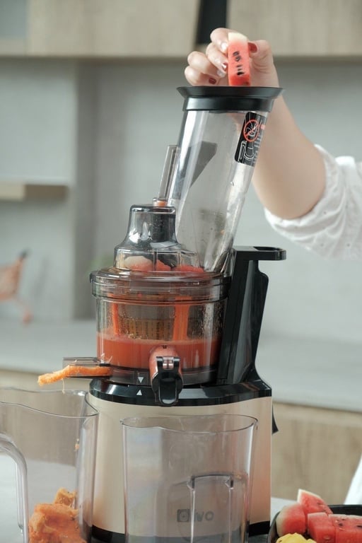 MÁY ÉP CHẬM OLIVO SJ200