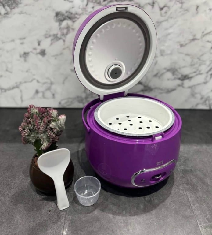 NỒI CƠM ĐIỆN MINI LEBENLANG 1.2L