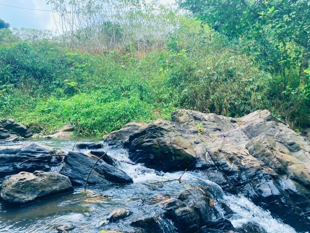 6177m2, 400m2 thổ cư tại Yên Lập, Cao Phong, Hoà Bình