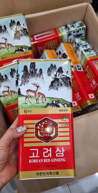 Sâm khô hộp thiếc 300g củ to