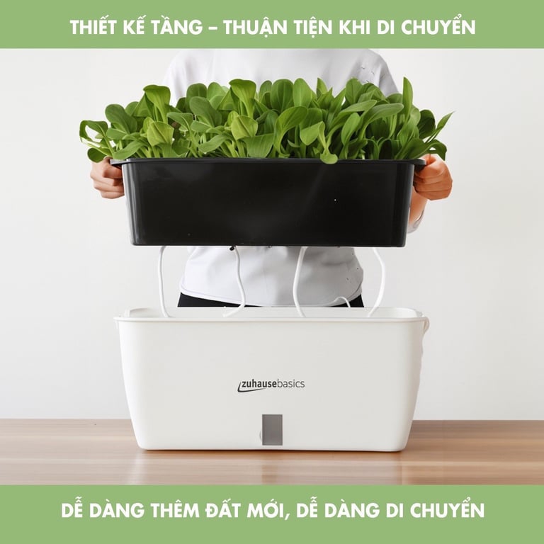 Set 3  Chậu Trồng Cây Thông Minh zuhause