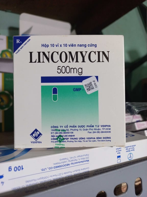 Lincomycin 500 vidi h/100v