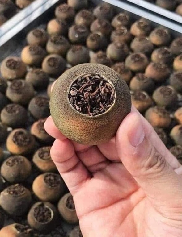 TRÀ QUÝT PHỔ NHĨ Ủ 8 NĂM QUÝ GIÁ VÂN NAM‼️MC45