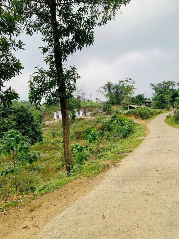 Lạc Lương, Yên Thủy,Hòa Bình (2000m2,1000m2TC)