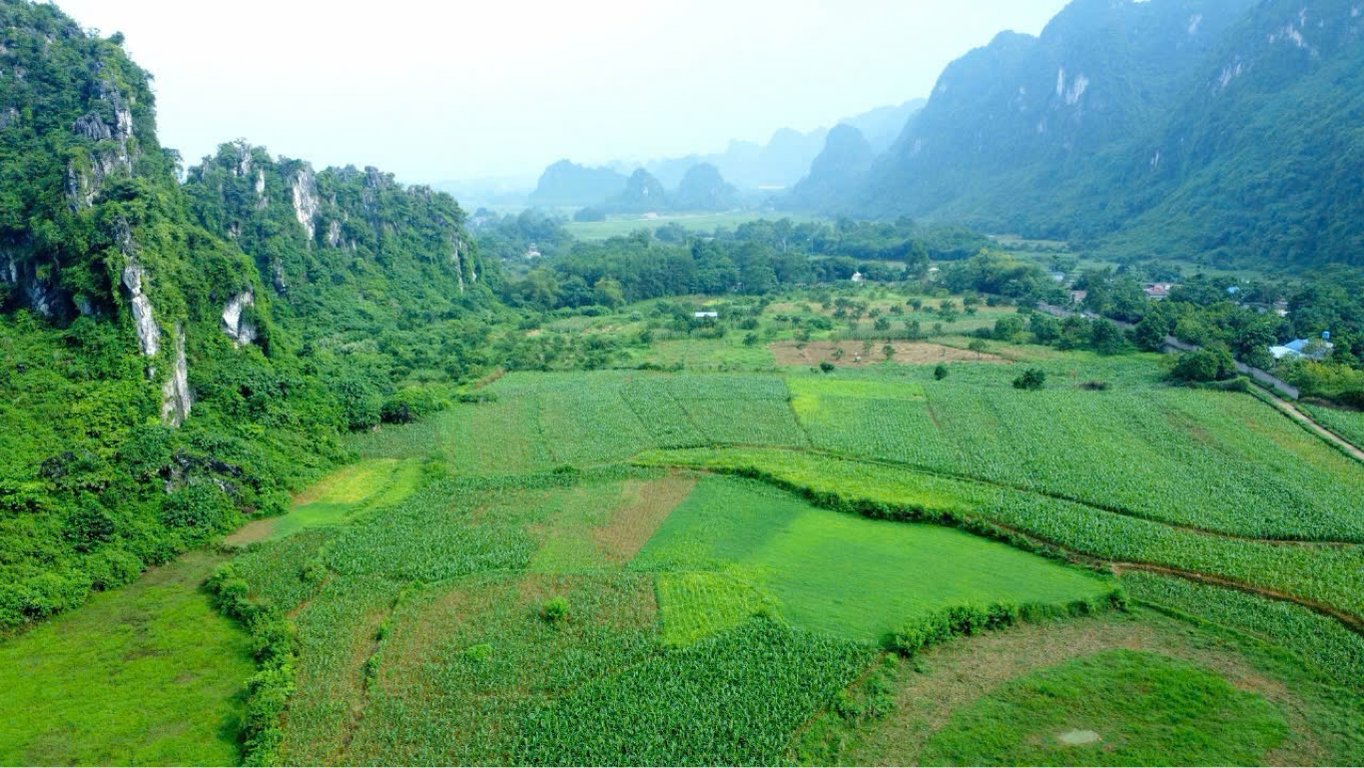 1100m2 có 200m2 thổ cư tại Thanh Sơn, Lương Sơn, Hoà Bình