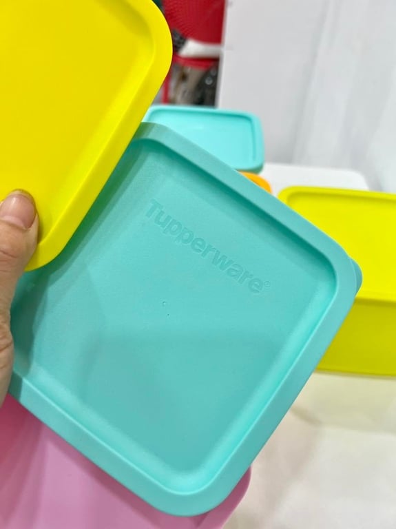 Set 10 hộp Tupper ware ngăn mát cao cấp