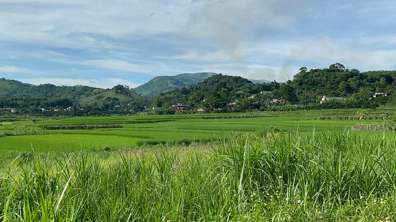 Lô đất 304m2 có 200m2 thổ cư tại Tân Lạc, Hoà Bình chỉ 299tr