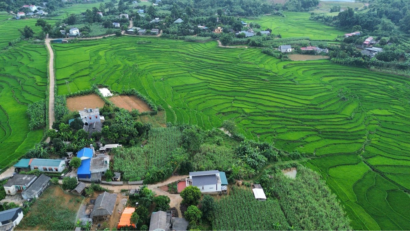 Diện tích 920m2, có 450m2 ONT tại xóm Rú, Hợp Phong, Cao Phong, Hoà Bình