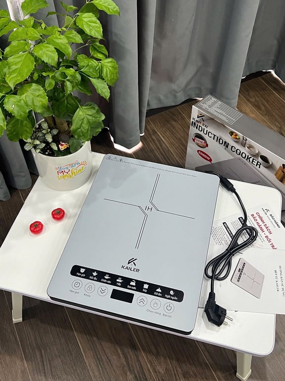 BẾP TỪ CAO CẤP KAILER KL-1106