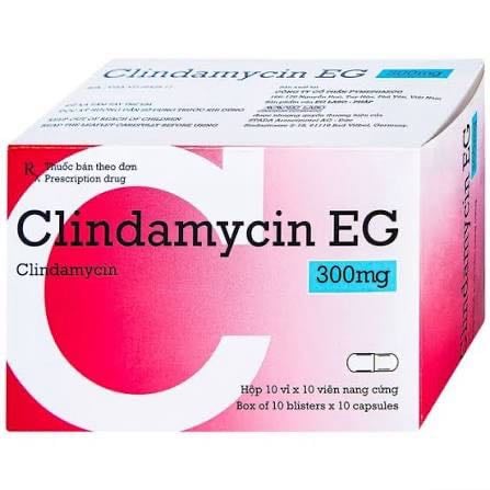Clindamycin 300 Phú yên h/100v