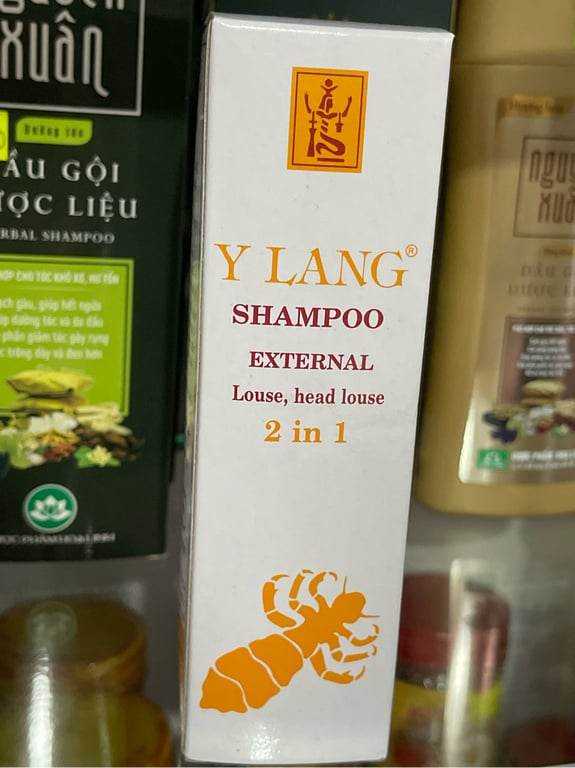 Ylang chí