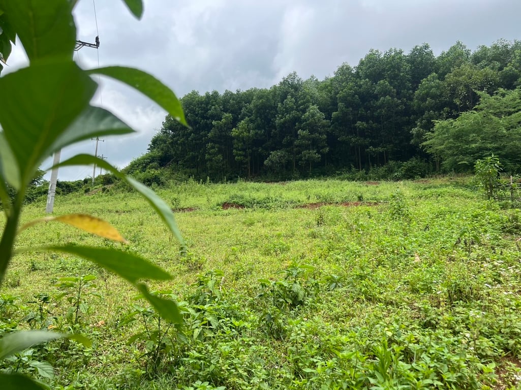 Gần 300m2 tại Suối Hoa, Tân Lạc, Hoà Bình