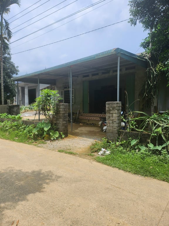 333m2 có 100m2 ONT Tại Phú Cường Tân Lạc, Hòa Bình chỉ 499tr