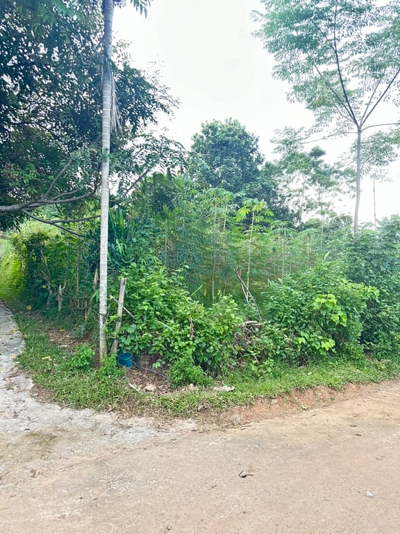 740m2 lô góc 2 mặt tiền có 200m2 ODT tại thị trấn Mãn Đức - Hoà Bình