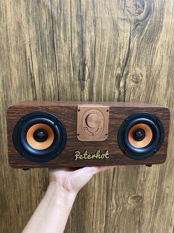 Loa cổ có kết nối bluetooth PENTERHOT