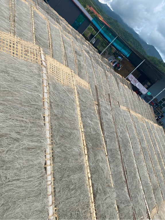 Miến dong thái tay Điện Biên