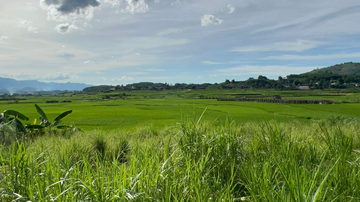 Lô đất 304m2 có 200m2 thổ cư tại Tân Lạc, Hoà Bình chỉ 299tr