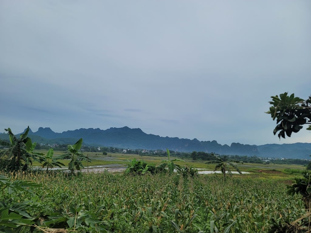 350m2 tại Thị trấn mãn Đức Tân Lạc, Hoà Bình