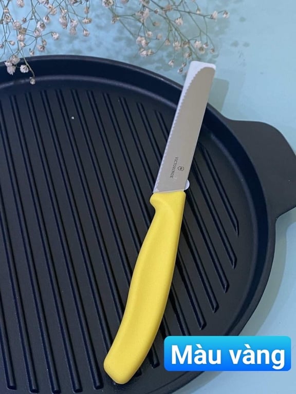 DAO VICTORINOX THUỴ SỸ