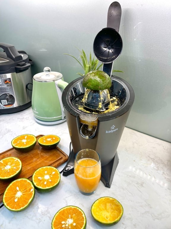 MÁY VẮT CAM KALPEN CJK-2682