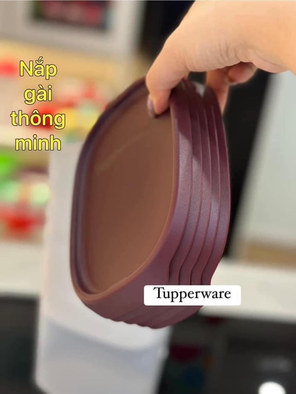 Set hộp trữ mát one touch fresh