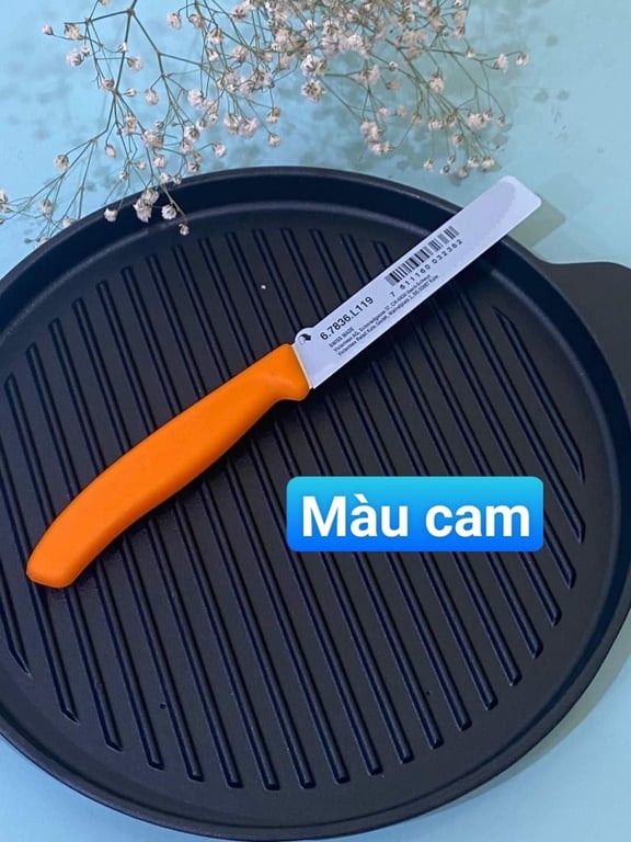 DAO VICTORINOX THUỴ SỸ