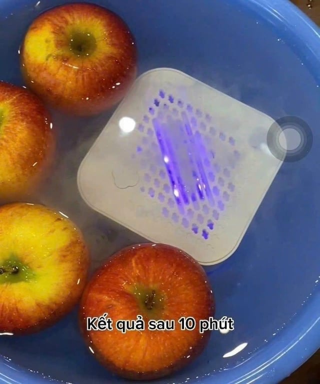 MÁY KHỬ KHUẨN THỰC PHẨM GUME (OWM01)