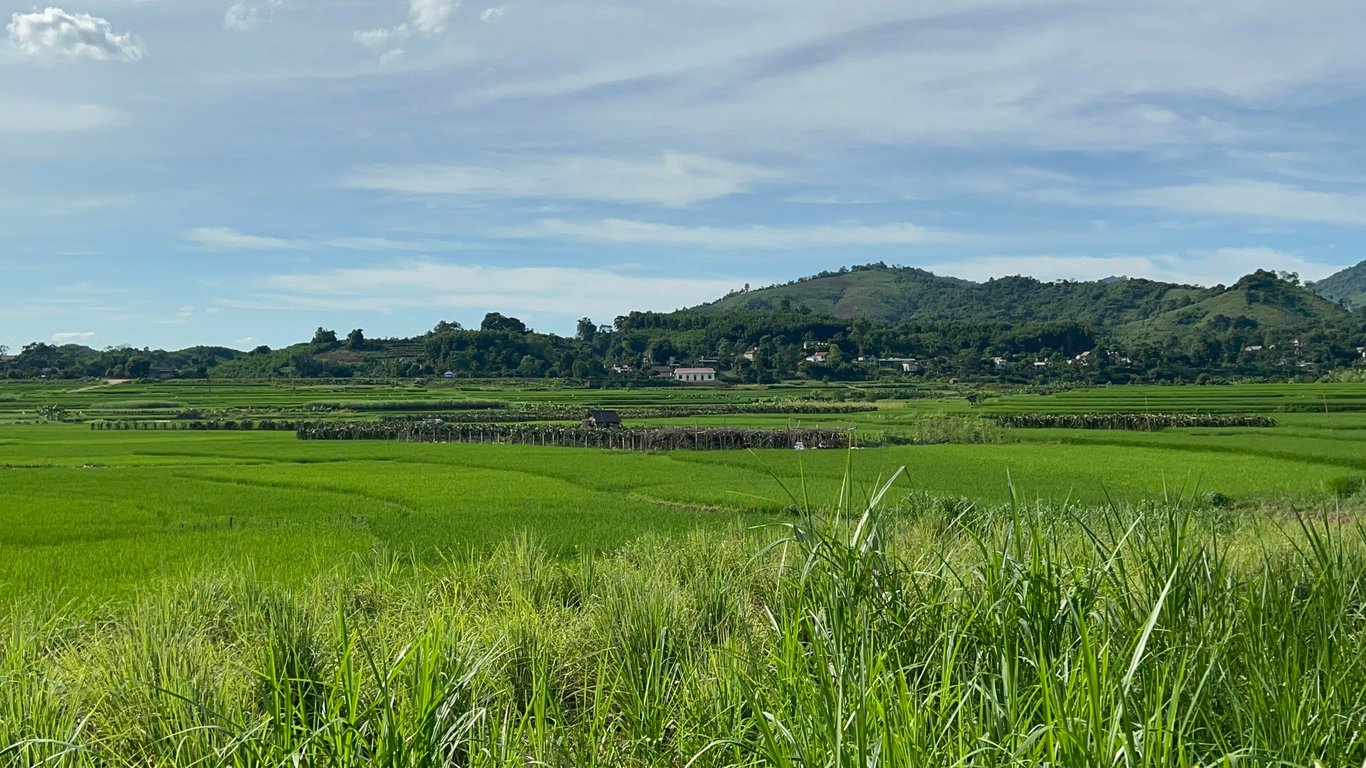 Lô đất 304m2 có 200m2 thổ cư tại Tân Lạc, Hoà Bình chỉ 299tr