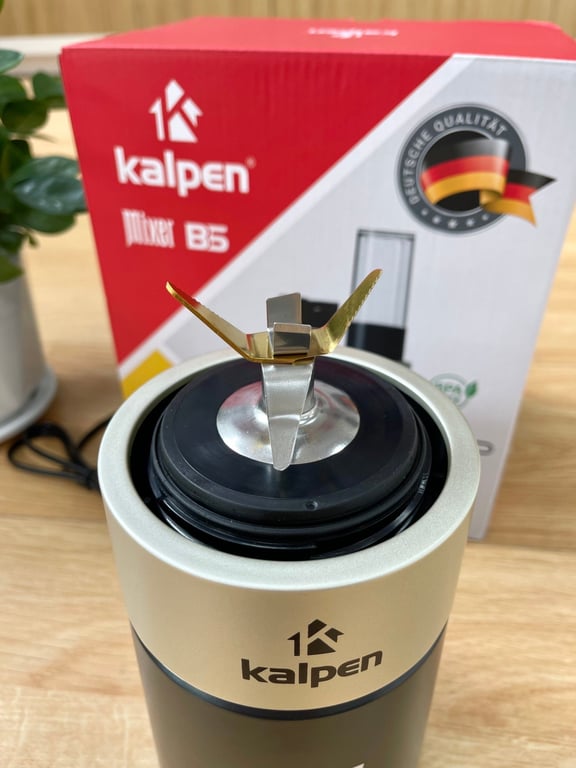 MÁY XAY SINH TỐ CAO CẤP KALPEN B6