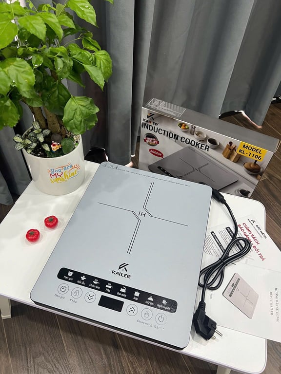 BẾP TỪ CAO CẤP KAILER KL-1106