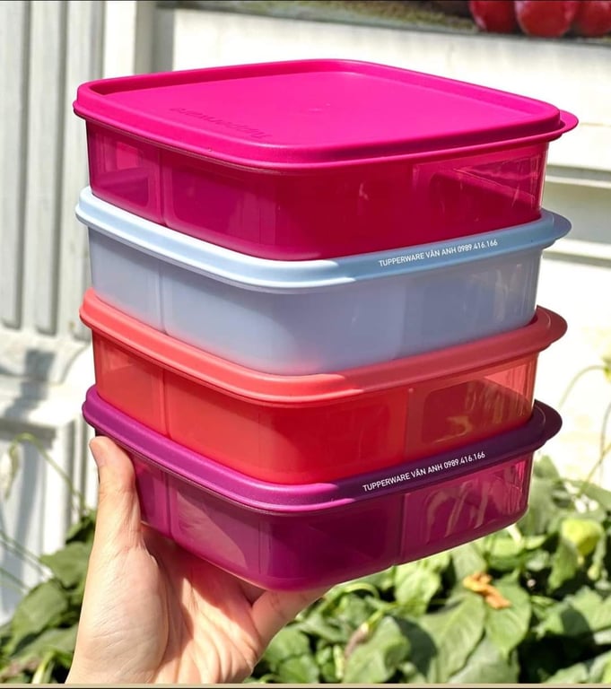 Hộp cơm Lolly Tupperware
