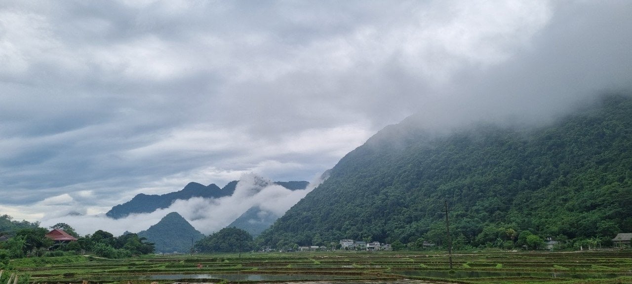 333m2 có 100m2 ONT Tại Phú Cường Tân Lạc, Hòa Bình chỉ 499tr