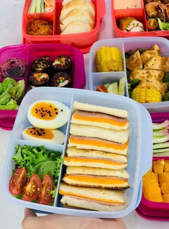 Hộp cơm Lolly Tupperware