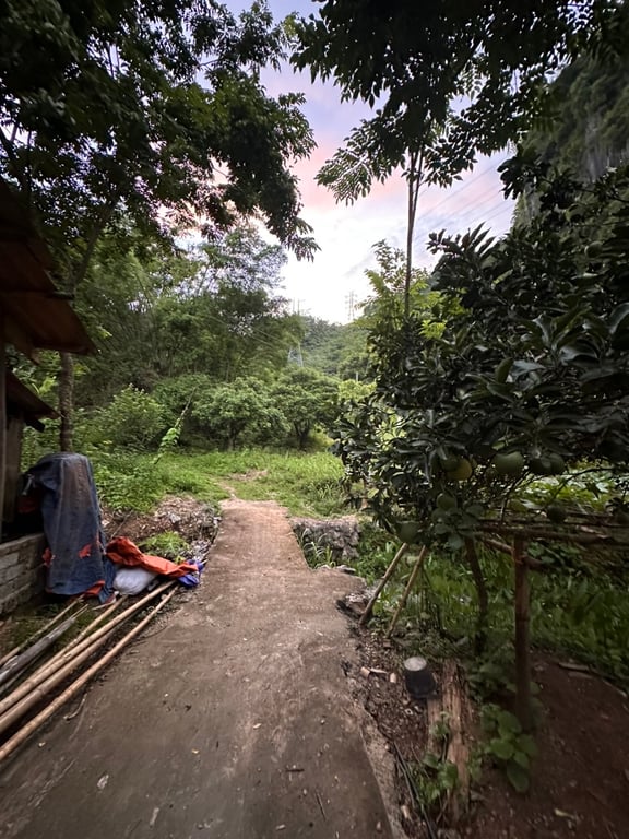 1000m2 -300m2 ONT tại Mai Châu, Hoà Bình