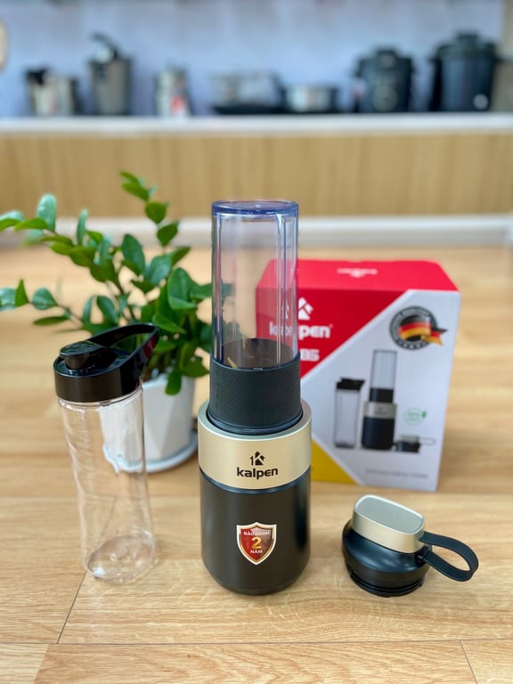 MÁY XAY SINH TỐ CAO CẤP KALPEN B6