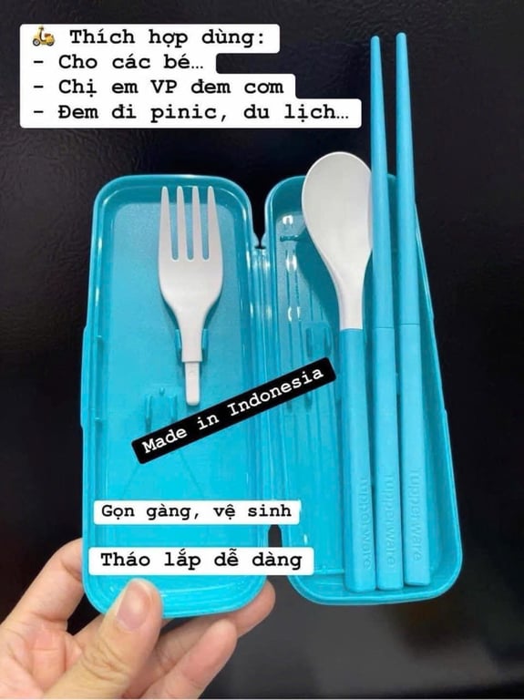 đũa, muỗng, nĩa PORTABLE CHOPSTICK TROPICAL