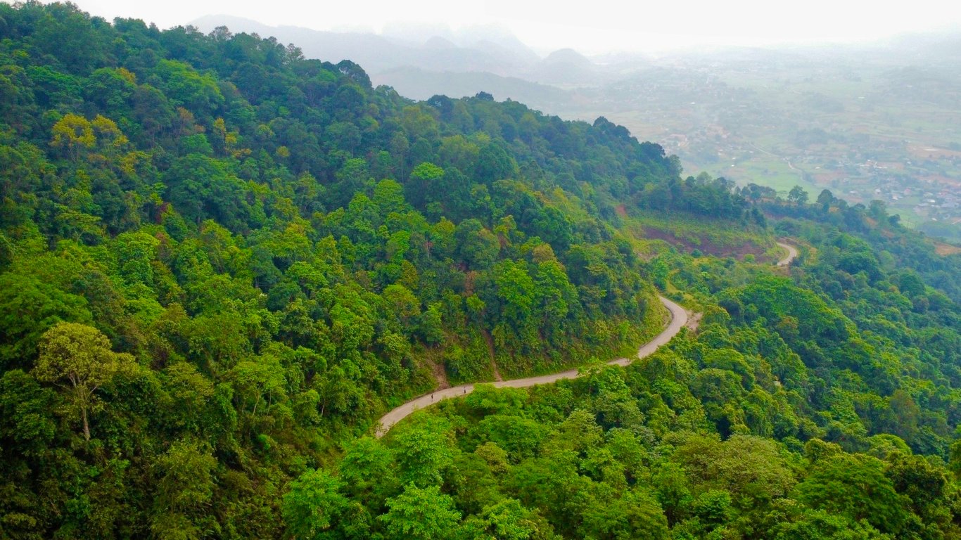 1256m2 đất rừng sản xuất tại Bản Mừng- Cao Phong- Hoà Bình