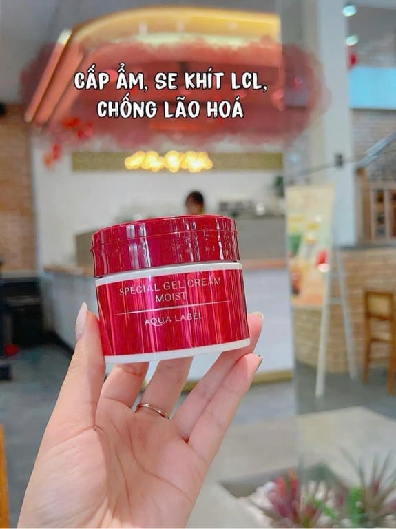 𝐃𝐮̛𝐨̛̃𝐧𝐠 𝐝𝐚 𝐭𝐫𝐮̛𝐨̛́𝐜 𝐤𝐡𝐢 𝐧𝐠𝐮̉ 𝐜𝐮̀𝐧𝐠 𝐒𝐇𝐈𝐒𝐄𝐈𝐃𝐎 𝐀𝐐𝐔𝐀𝐋𝐀𝐁𝐄𝐋