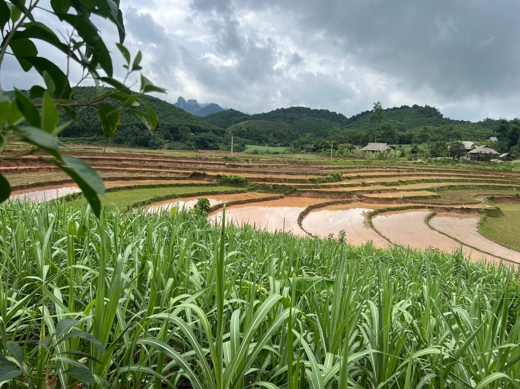 Gần 300m2 tại Suối Hoa, Tân Lạc, Hoà Bình