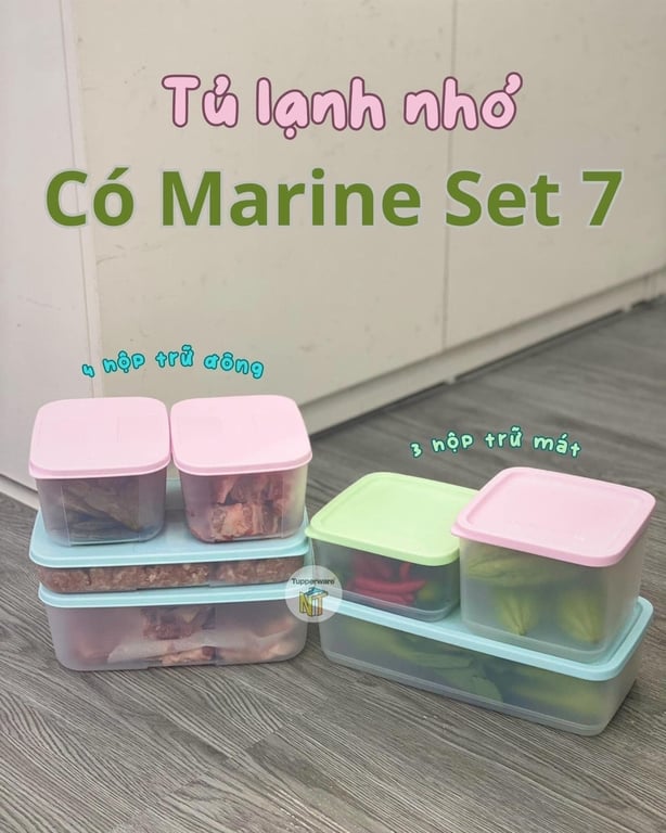 Bộ hộp trữ mát và trữ đông set 7