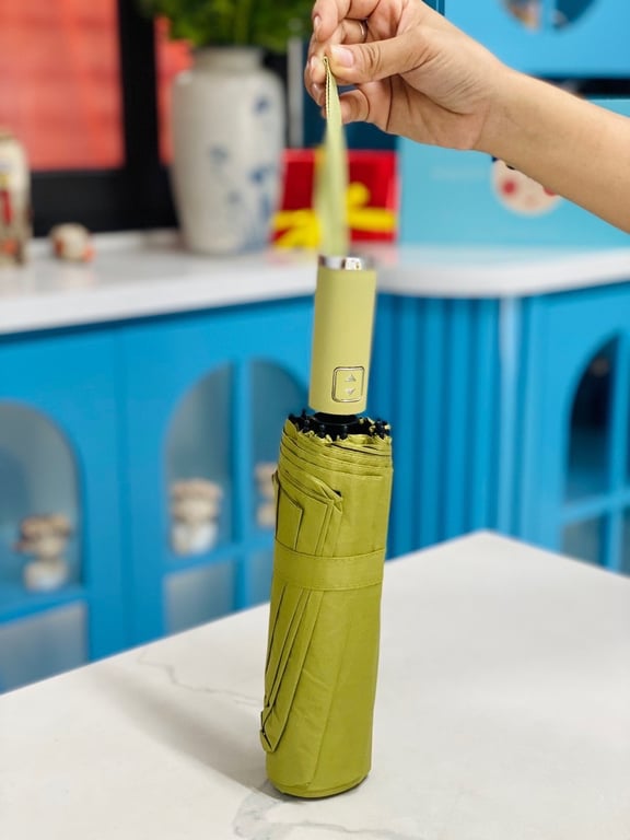 Em về được Ô tự động gập gọn